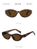 Cat Eye Sunglasses PA Same Style Personality Hot Girl Style Sunglasses Fashion Glasses9069Ultraviolet Ray