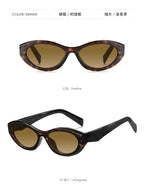 Cat Eye Sunglasses PA Same Style Personality Hot Girl Style Sunglasses Fashion Glasses9069Ultraviolet Ray